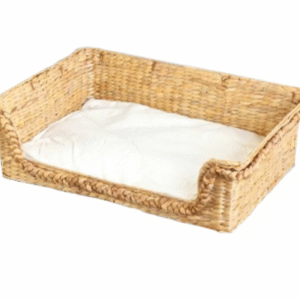 metal hanging lights