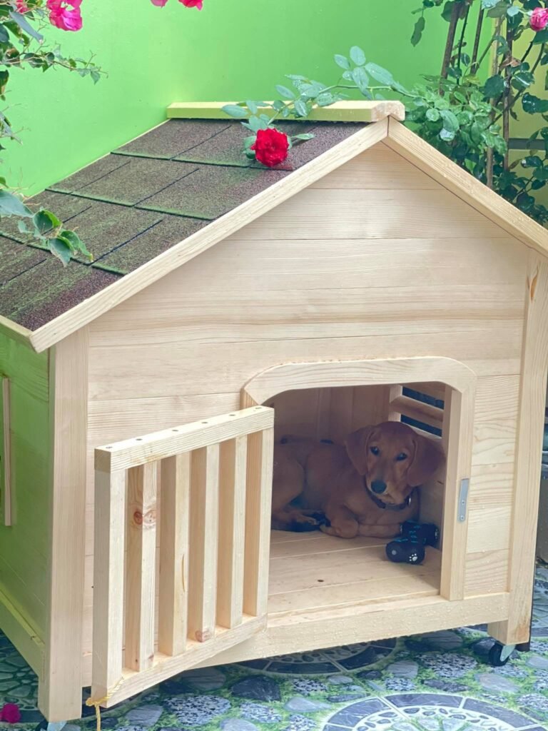 Home 570495997 1289387549872341 7790281181074086216 n