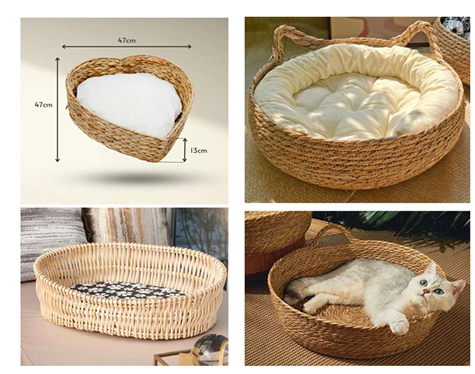 screenshot 2025 10 10 111526