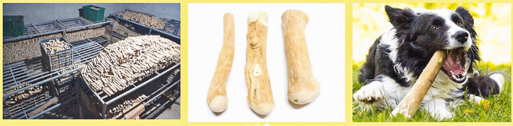 Home screenshot 2025 12 02 172605